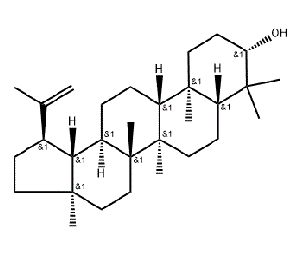 CAS NO.545-47-1 Lupeol