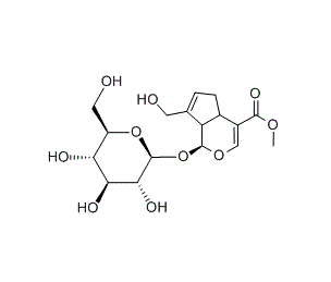 CAS NO.24512-63-8 Geniposide