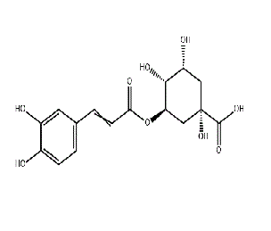 CAS NO.327-97-9 Chlorogenic acid