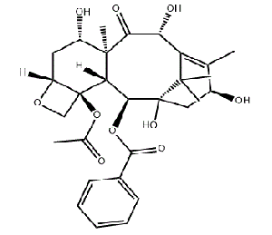 CAS NO.32981-86-5 10-Deacetylbaccatin III
