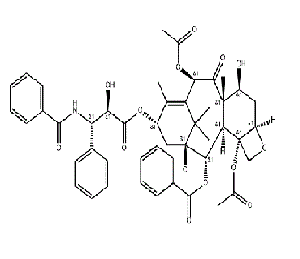 CAS No.33069-62-4 Paclitaxel
