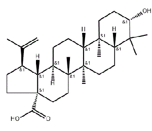 CAS NO.472-15-1 Betulinic acid