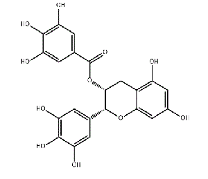 CAS NO.989-51-5 Epigallocatechin gallate