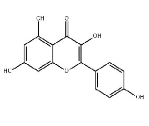 CAS NO.520-18-3 Kaempferol