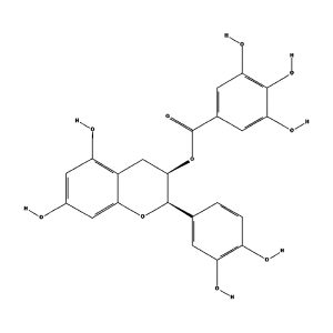 CAS No. 1257-08-5 (-)-Epicatechin gallate(ECG)
