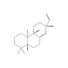 Structure of CAS 19889-23-7