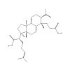Structure of CAS 943225-55-6
